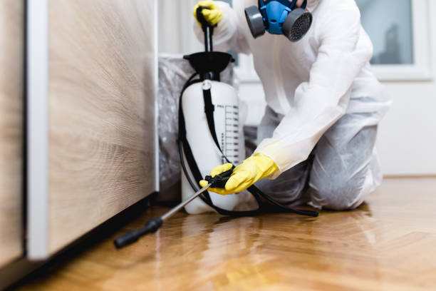Best Flea Control Services  in Glenwood, MN