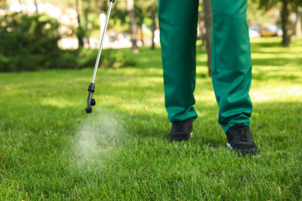  Glenwood, MN Pest Control Pros