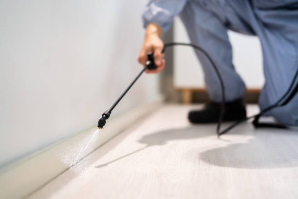 Professional Pest Control in Glenwood, MN