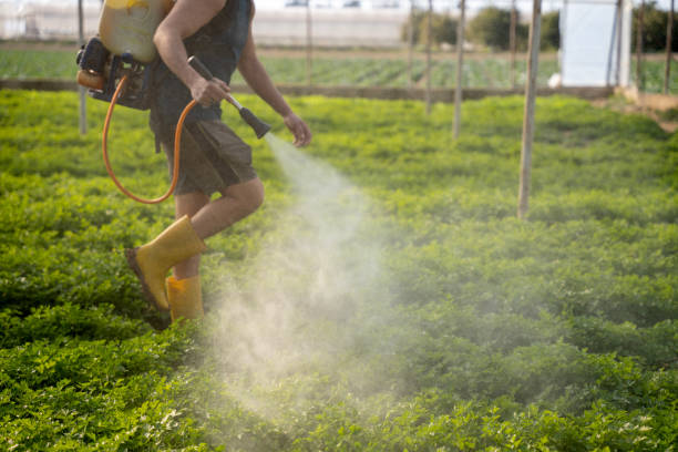 Best Pest Removal Services  in Glenwood, MN