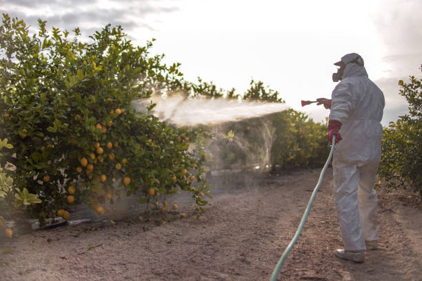 Pest Control for Restaurants in Glenwood, MN