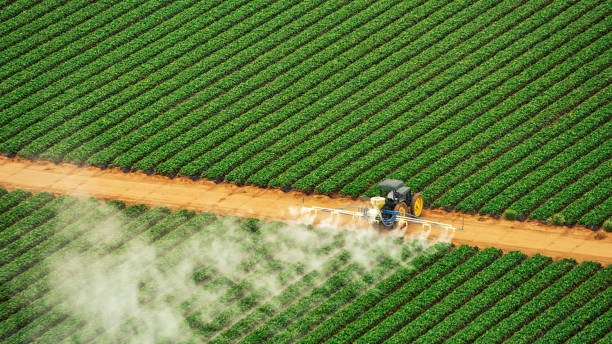 Best Commercial Pest Control Services  in Glenwood, MN