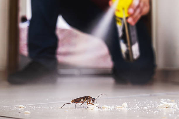 Best Pest Control for Restaurants  in Glenwood, MN