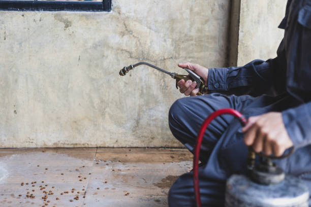Best Emergency Pest Control  in Glenwood, MN
